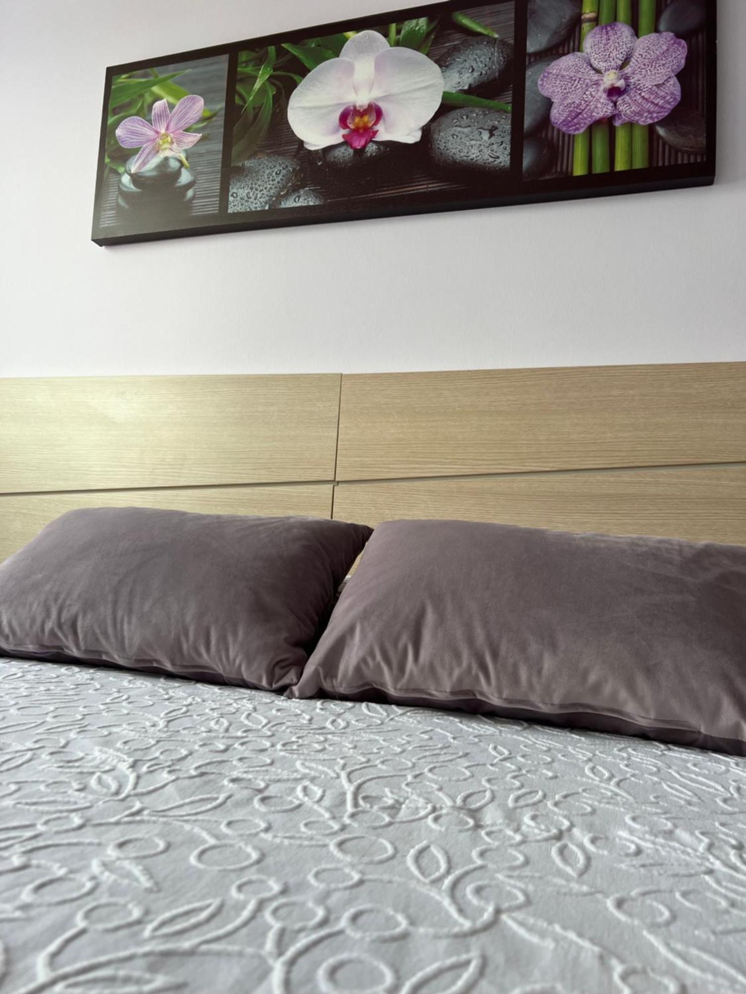 Marusia Apartamento Malpica Kültér fotó